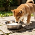 thumbnail image 6 of Stainless Steel Pet Bowls 5.5 Inch Metal Cat Bowl Whisker Friendly Shallow Wide Flat Dishes, Non Silicone Bottom for Dog Cat Food and Water, Small Medium Large Pet Feeding, 6 of 6