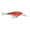 Demon, variant on Rapala Shad Rap Crankbait 07 Demon