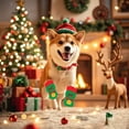 thumbnail image 3 of Pet Supplies Socks For Cats And Dogs Holiday With Greeting Card, 3 of 4