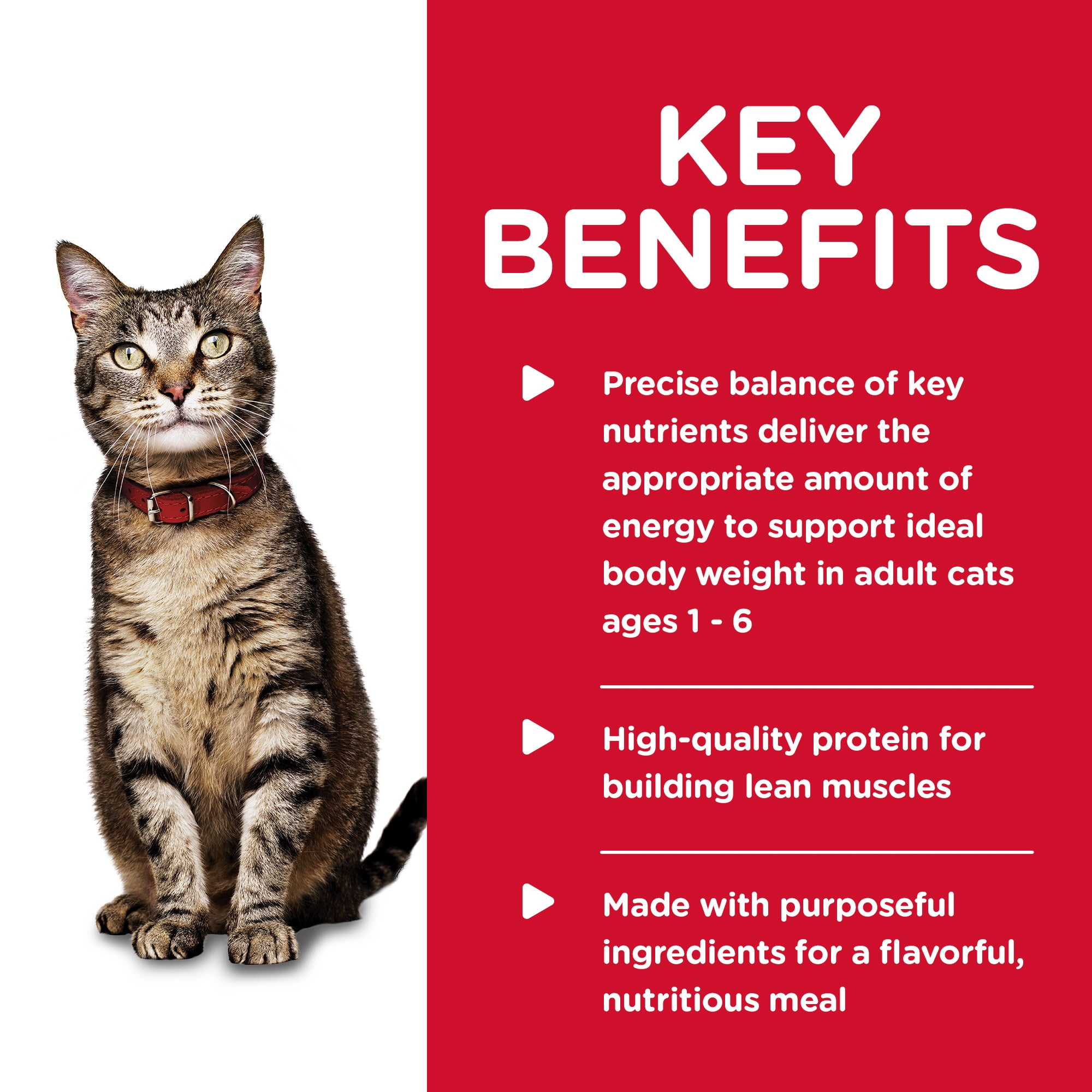 Hill's Science Diet Liver & Chicken Wet Cat Food, 5.5oz Can 24pk