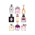 thumbnail image 3 of Amanda Greenwood 17x24 Black Modern Framed Museum Art Print Titled - Fragrance Bouquet, 3 of 5