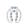 thumbnail image 4 of Birdeem Rouleau pour Muscles, Rouleau Relaxant Musculaire, 4 of 6