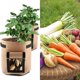 thumbnail image 1 of Juego de 3 bolsas para plantas, bolsa para plantas de tela no tejida, bolsa para patatas, bolsa para plantas para patatas, verduras, flores y plantas (23x 28 cm, marrón), 1 of 4