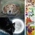 thumbnail image 3 of Bordado 5D DIY Lobo perro diamante de imitación pintura imagen diamante cristal dibujos animados Animal punto de cruz decoración regalo seitruly  JJ14137-01, 3 of 6