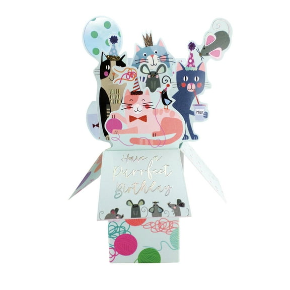 Clever Cube Pop Up Card - Birthday - Cats