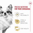 thumbnail image 3 of Nutrition Santé pour Races Chihuahua Adulte - Nourriture Sèche pour Chien 10 Lb, 3 of 5