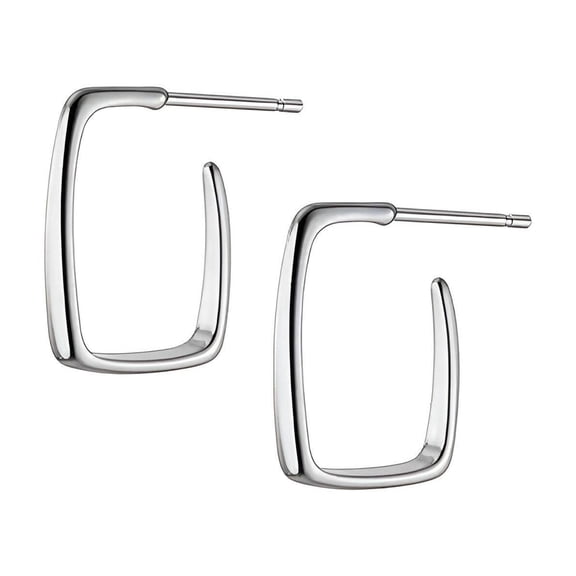 DESIGNICE 2026 New Earrings for Women,Earring,Stainless Steel Small Silver Hoop Earrings for Women