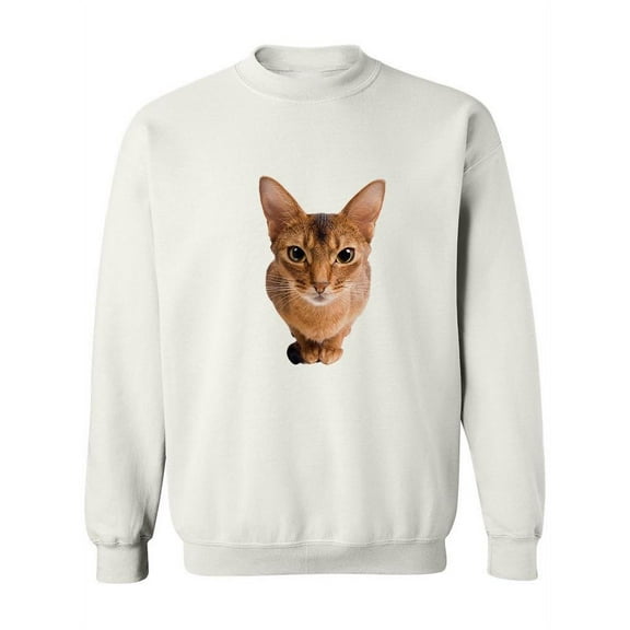 Curious Abyssinian Red Cat Sweatshirt Women -Image by Shutterstock, Female x-Large