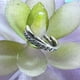 thumbnail image 4 of F136 anillo de titanio para la nariz, pendientes sin costuras con bisagras de grado de implante, anillo de aro Clicker para cartílago, hélice, Rook, tabique Daith Tragus, 4 of 5