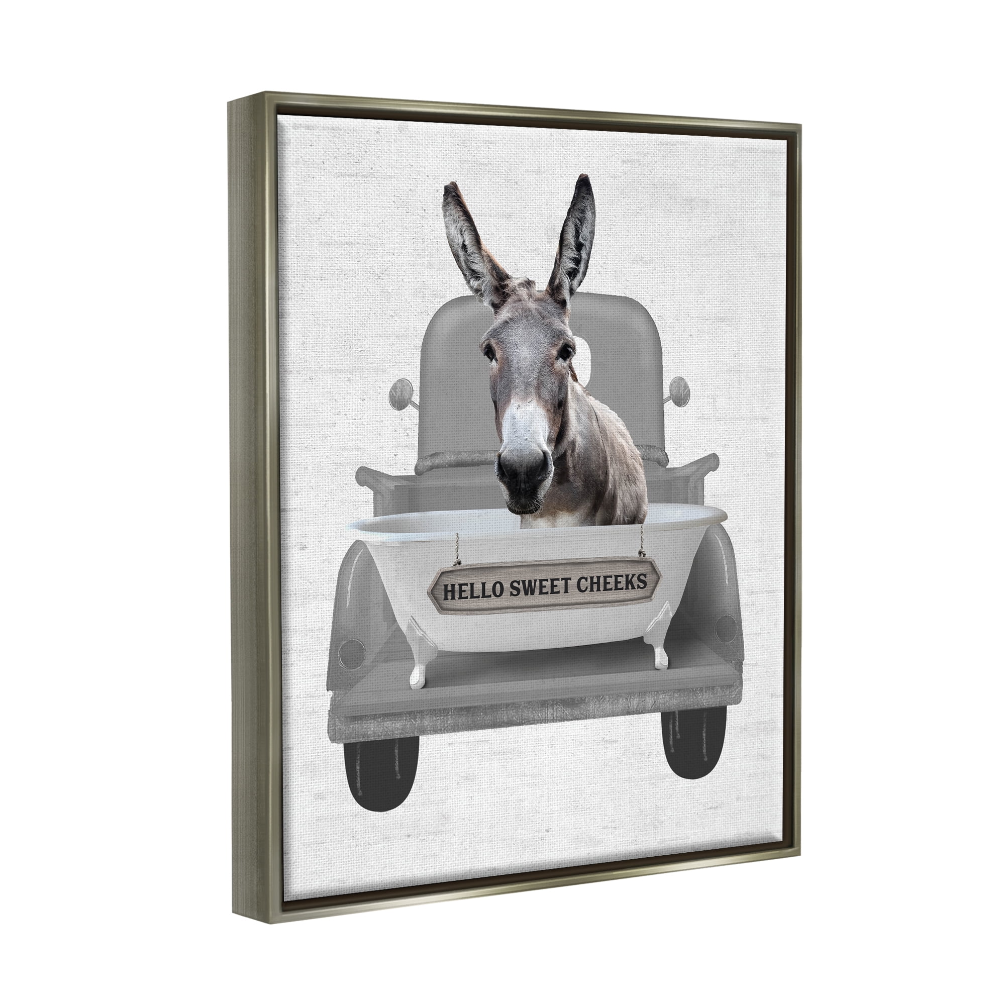 Stupell Industries Hello Sweet Cheeks Donkey Animals & Insects Painting Gray Floater Framed Art Print Wall Art, 17 x 21