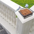 thumbnail image 3 of AAOMASSR Platform Ground Bird Feeder with Metal Mesh Seed Tray, 231 g Capacity, Black, 3 of 5