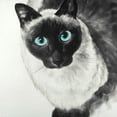 thumbnail image 2 of Atelier B Art Studio 12x12 White Modern Wood Framed Museum Art Print Titled - Blue Eyes Siamese Cat, 2 of 4