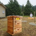 thumbnail image 4 of Garvee 10 Frame Bee Hive Coated with Beeswax Complete Beehive Kit Includes 2 Deep Box and 1 Medium Bee Box with Beehives Frames and Wax Foundations Wax Coated Bee Hives for Beginner, 4 of 8