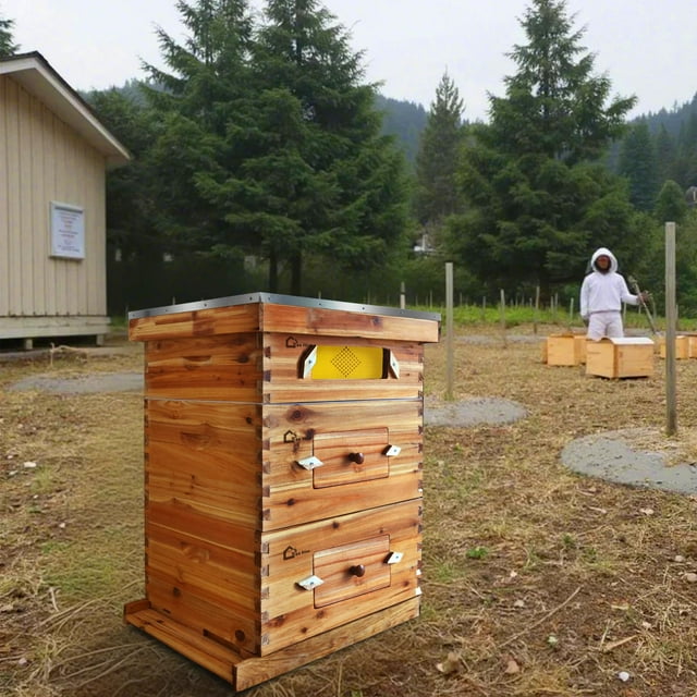 EDTara Kit de Ruche Langstroth à 10 Cadres, Trempé dans 100 % de Cire d'Abeille, Comprend 2 Boîtes de Ruche Profondes et 1 Super avec Fenêtre en Acrylique