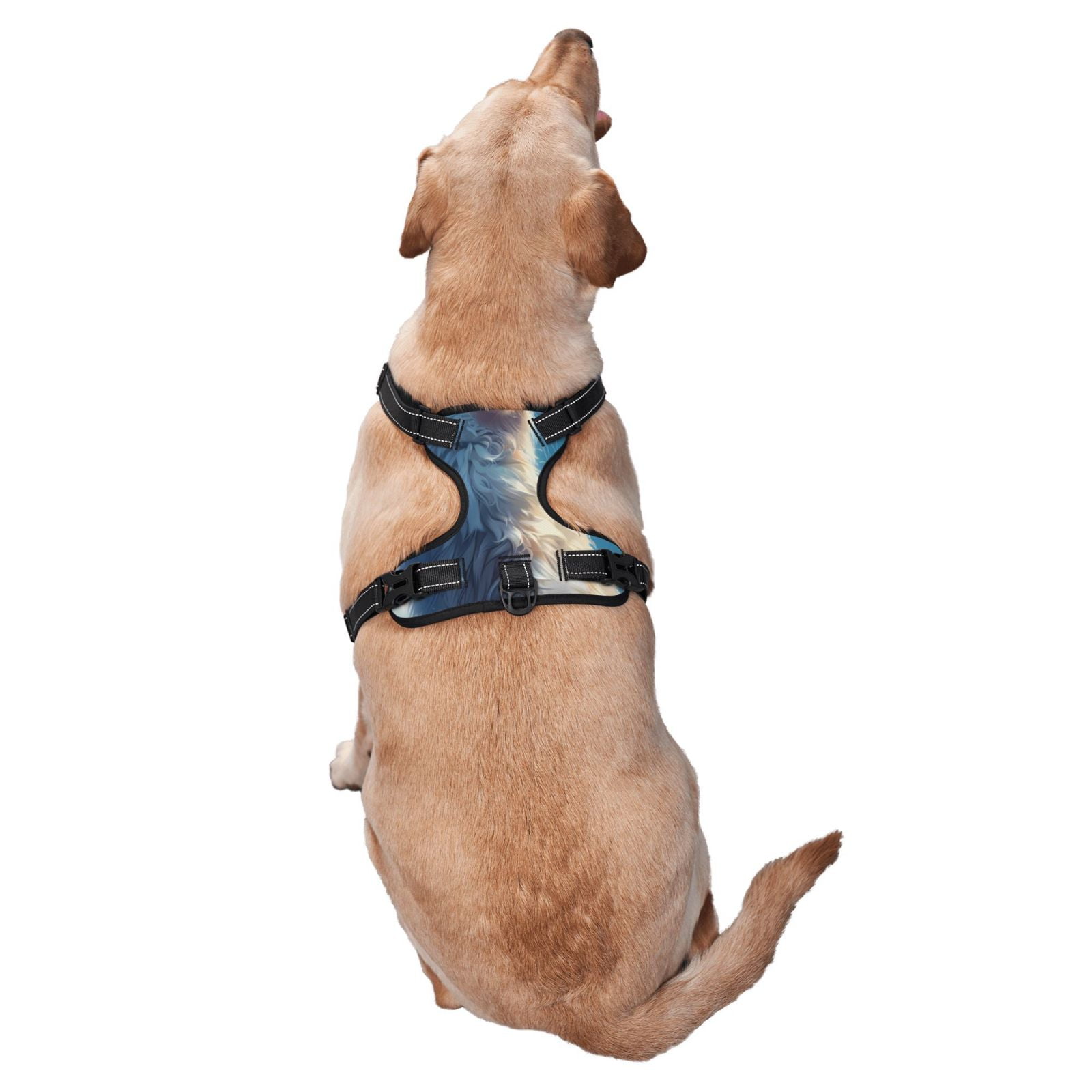 Vsdgher Clear Sky Blue Cat Pattern Dog Harness,No Pull Pet Harness with Soft Padded Handle,Adjustable Reflective Vest with 2 Buckles,4 Slide Buckles,S-XL X-Large