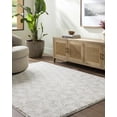 thumbnail image 5 of BoutiqueRugs Ceylan Contemporary Area Rug - White, Medium Gray - 5'3" x 7', 5 of 7