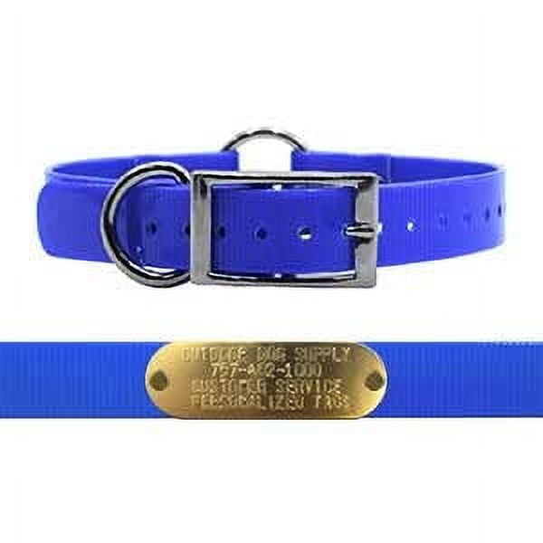 Dog collar with brass plate online