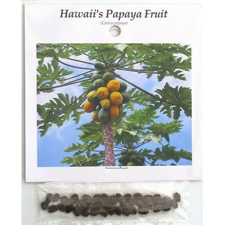 Hawaiian Papaya Fruit Seeds ~ Grow Hawaii (Best Way To Eat Papaya Seeds)