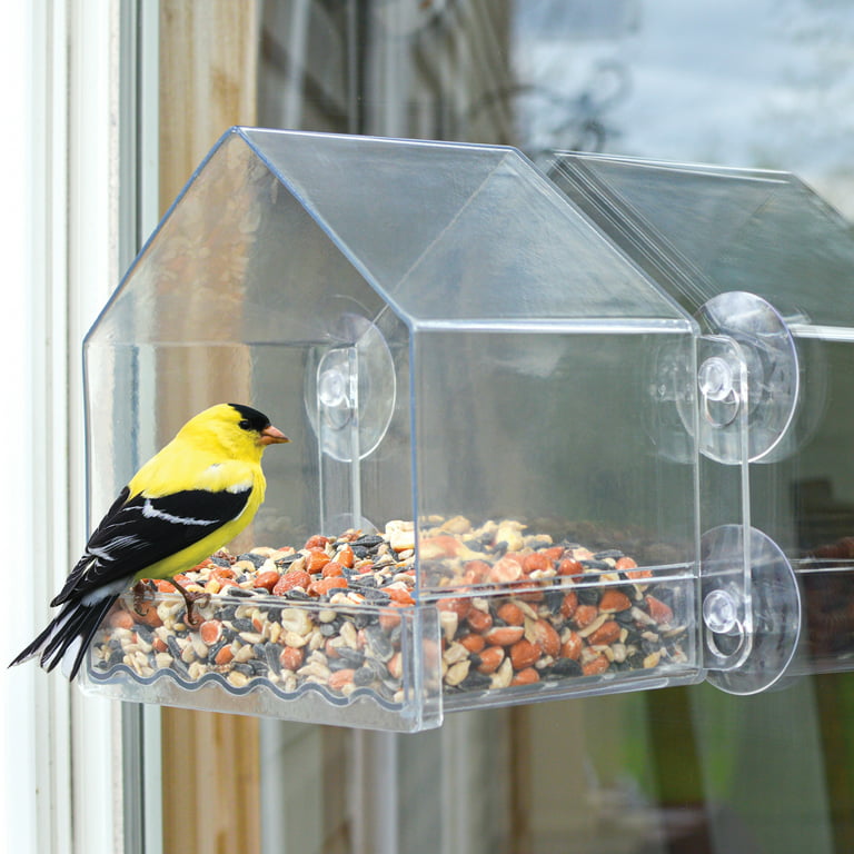 Clear View Mini Window Bird Feeder