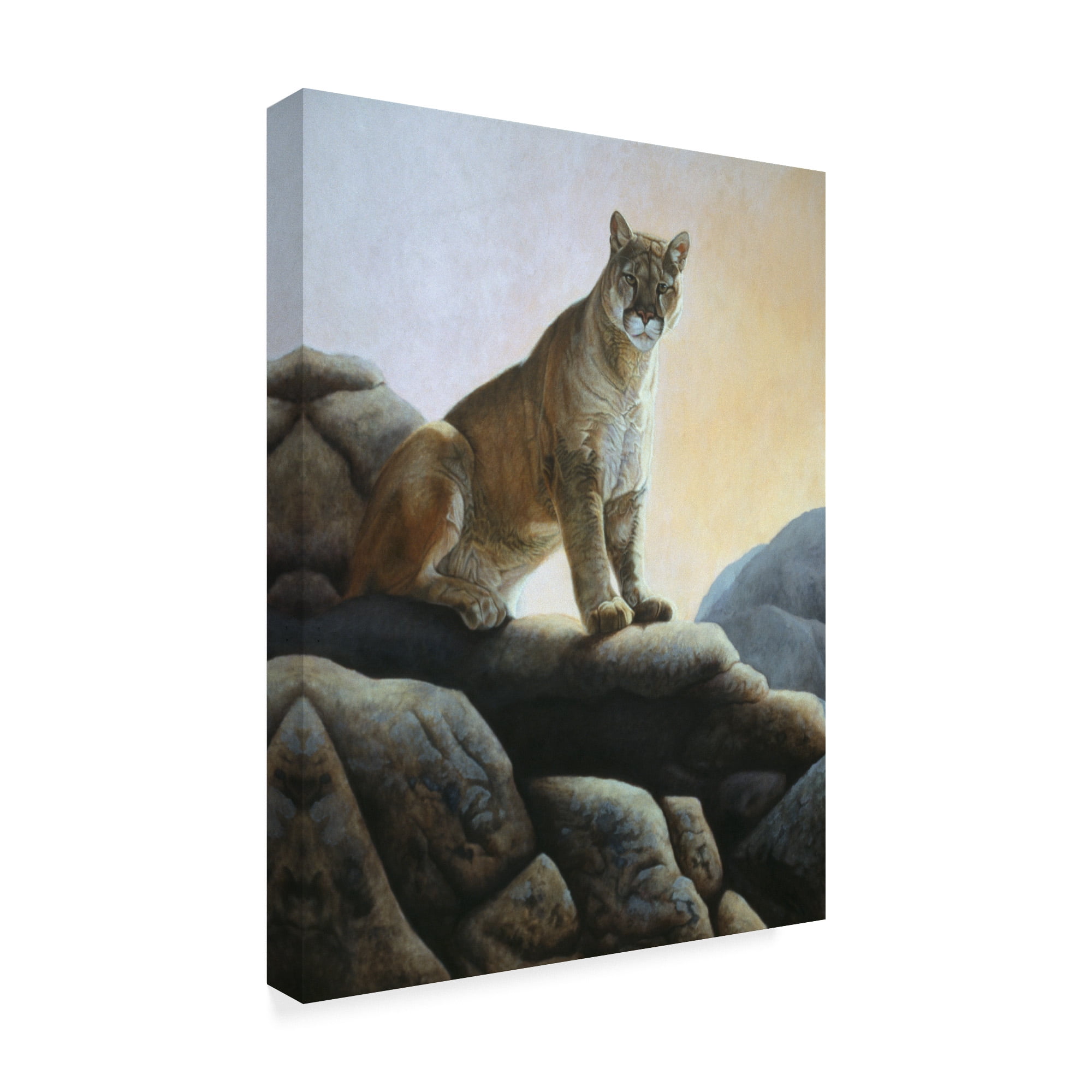 Trademark Fine Art 'Cougar' Canvas Art by Rusty Frentner