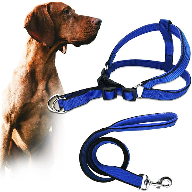 Cool dog clearance harness and leash