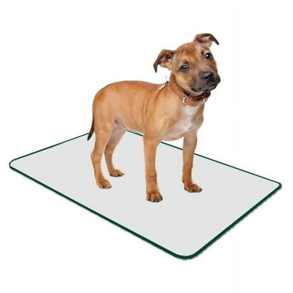 Poochpad PG1828RP Medium Indoor Turf Dog Potty Replacement Pad