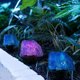 thumbnail image 4 of WEUVEB 1Ud Piedra Solar Para Jardín Decorativa Morada Resistente Y A De Agua, 4 of 5