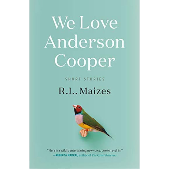 We Love Anderson Cooper: Short Stories