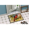 thumbnail image 3 of Cardinal Doormat 27 in x 18 in, 3 of 6
