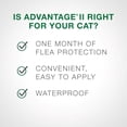 thumbnail image 2 of Advantage II Flea Treatment for Kittens, 2 of 7