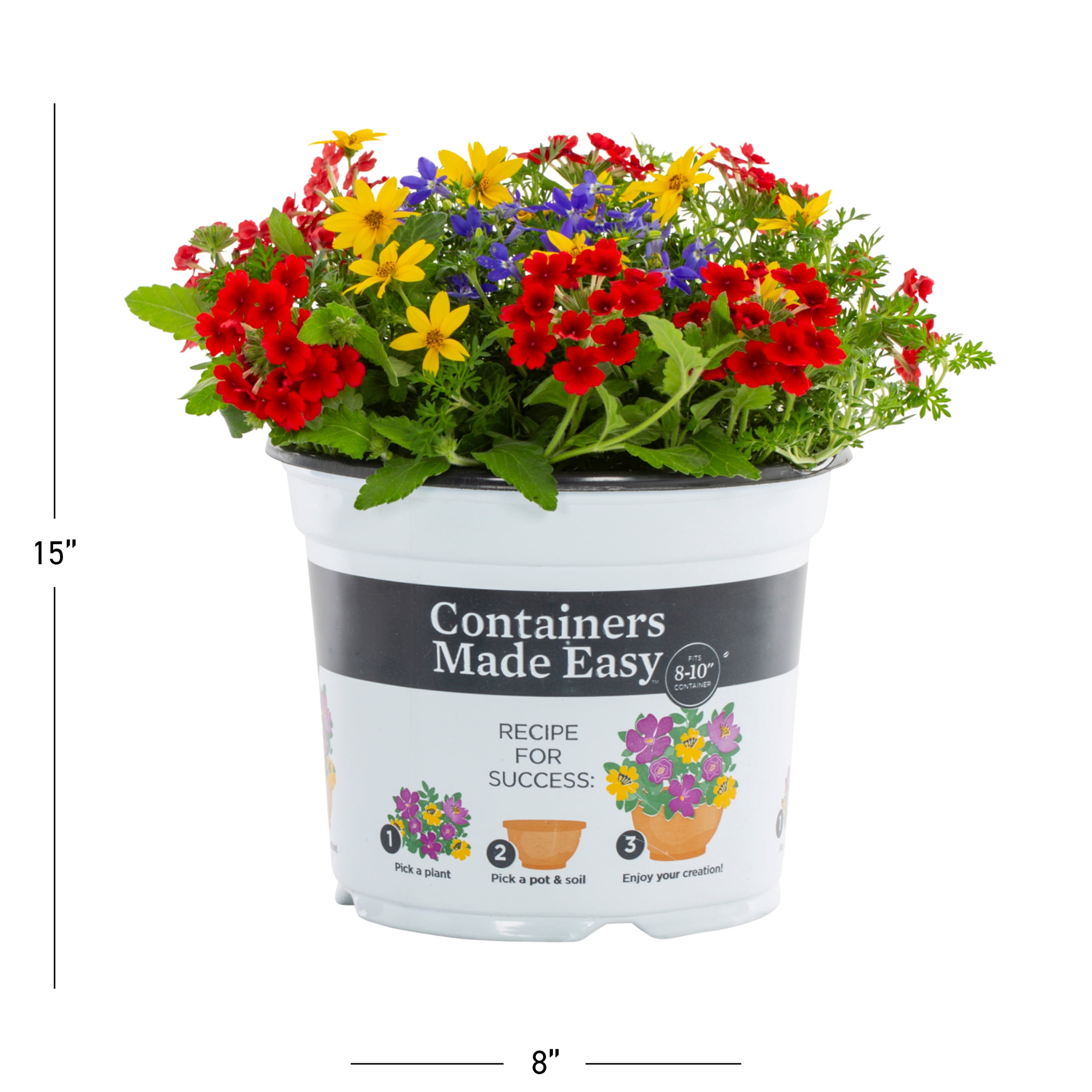 Containers Made Easy 3QT Multicolor Bidens Lobelia Verbena Live Annual Plant Sun 2-Pack