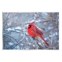 Stupell Industries Cardinal in Winter Branches Animals & Insects Photography Unframed Art Print Wall Art, 19 x 13