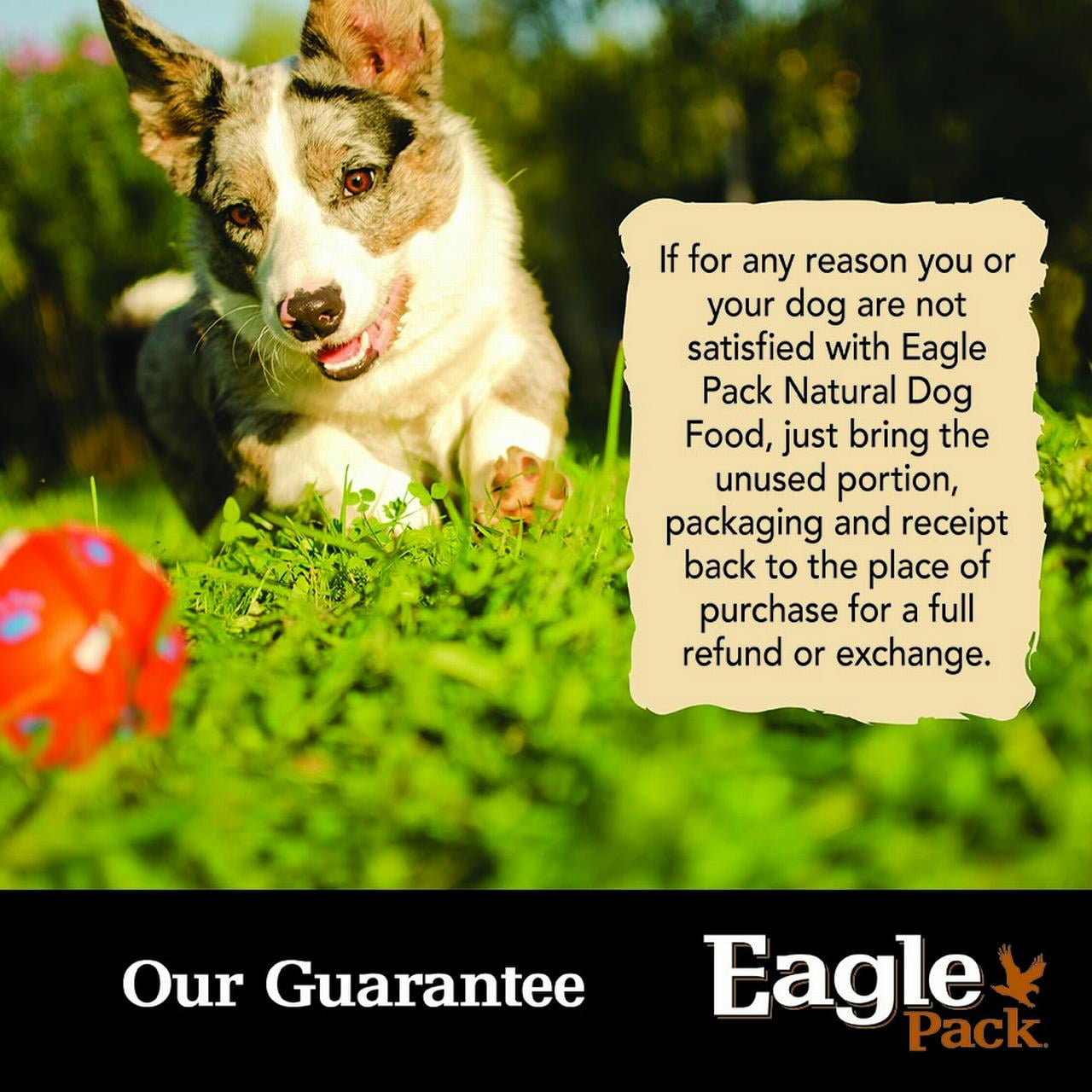 eagle pak dog food