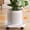 White, variant on syligr Plastic Flower Pot Tray with Wheels Rolling Plant Caddy Mobile Base with Swivel Casters Heavy Duty Drainage Tray for Indoor Outdoor Plants 11 Inch for Easy Movement