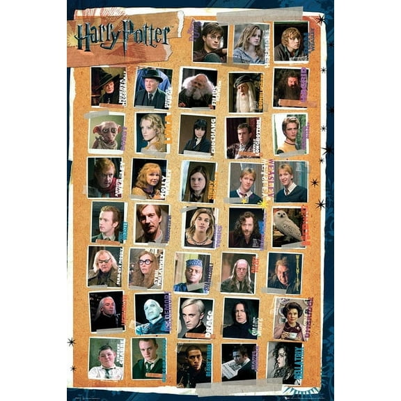 Rolled Poster Harry Potter Characters 24" x 36" Framed