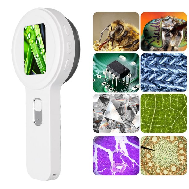 Microscopio Digital de Zoom de 200x Con Luz LED, 16 Bombillas LED, Pantalla de 2 Pulgadas, Admite una Memoria de Hasta 4 TB, Lupa Portátil para observación de la Naturaleza,