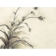 thumbnail image 2 of Dixon, Samuel 32x25 Black Ornate Wood Framed with Double Matting Museum Art Print Titled - Plant of the Age II, 2 of 4