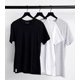 thumbnail image 3 of Paquete 3 Camisetas Playeras Lacoste Essentials Original 1, 3 of 8