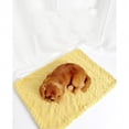 thumbnail image 6 of Small Washable Dog Crate Mat Sage Green Sherpa Fleece Pet Blanket for Small Dogs Cats, Soft Cozy Throw Blanket for Bed Couch Home Travel, 6 of 6