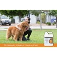 thumbnail image 2 of Shampoo Veterinary Formula Clinical Care 3,8 L para Perros y Gatos, 2 of 7