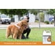 thumbnail image 2 of Shampoo Veterinary Formula Clinical Care 3,8 L para Perros y Gatos, 2 of 7