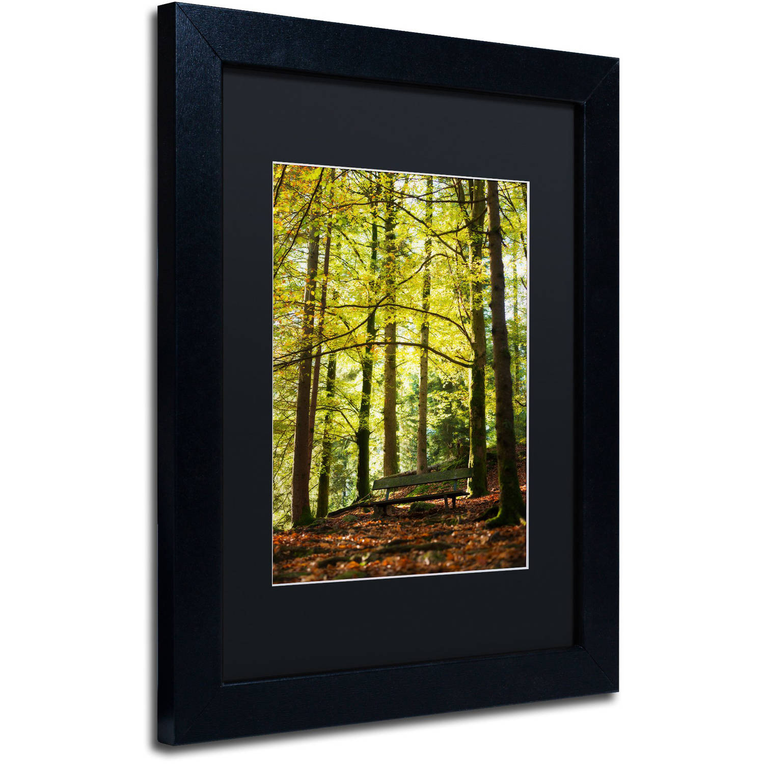 Trademark Fine Art "Pause" Canvas Art by Philippe Sainte-Laudy Black Matte, Black Frame