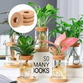 thumbnail image 2 of 4Pcs Hydroponic Vase Lid Hollow Lid for Vase Glass Vase Lid Hydroponic Planter Cover Vase Cover, 2 of 3