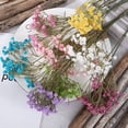 thumbnail image 3 of 1 Pc Artificial Gypsophila Silk Flower Easy Care Realistic Silk Floral Arrangements Table Centerpieces, 3 of 8