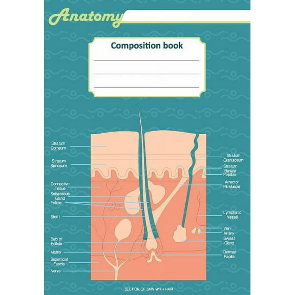 Anatomy composition book : 200 ruled line page 7" x 10"(17.78 x 25.4 cm). Notebook with a detailed scientific view of the human skin and a human spinal column. (Paperback)