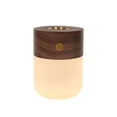 thumbnail image 1 of Luz de noche portátil Lámpara de noche USB Lámpara de quemador de aceite esencial regulable para Madera de Zulema Lámpara de quemador de aceite esencial, 1 of 8