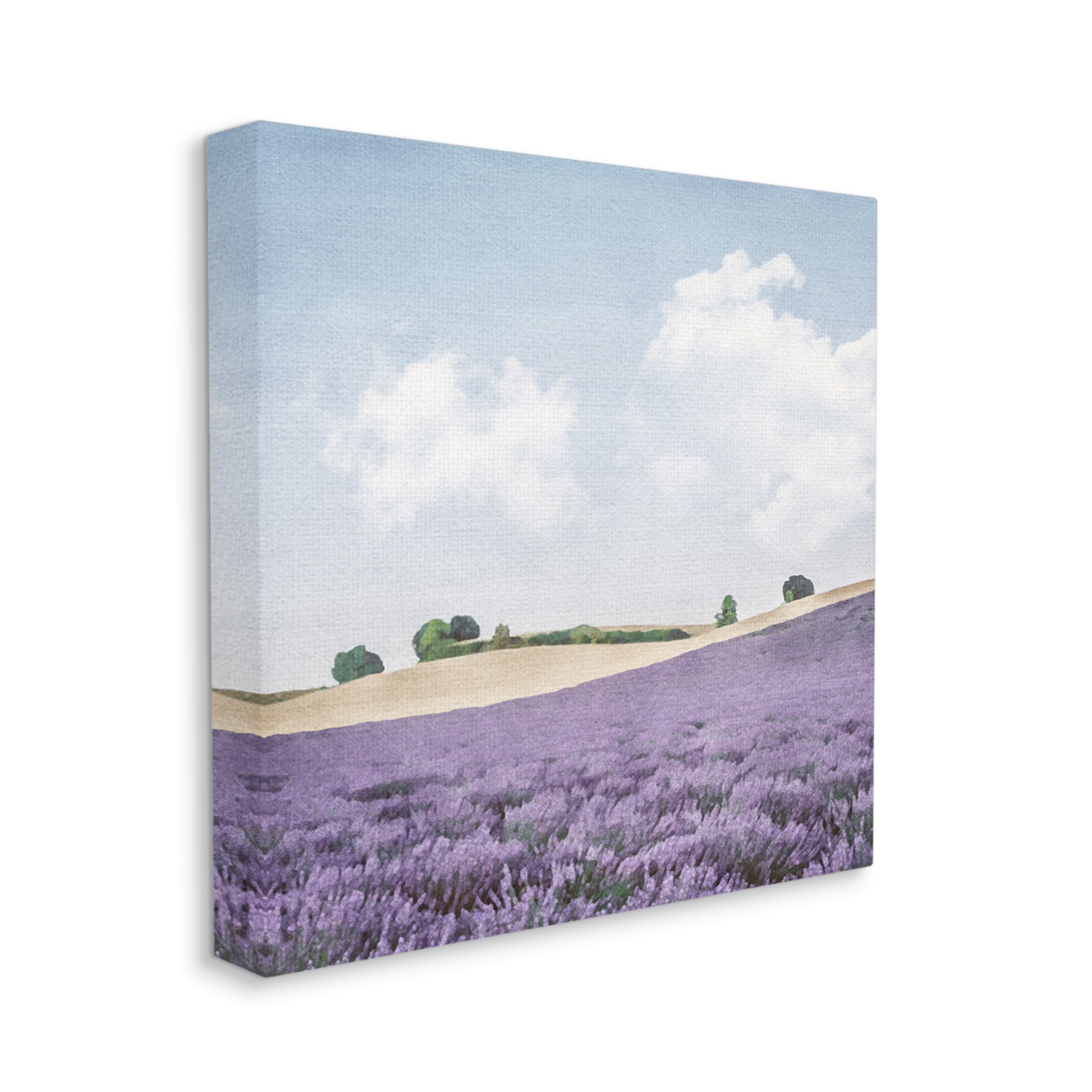 Stupell Industries Rural Lavender Farm Nature Painting Gallery Wrapped Canvas Print Wall Art, 24 x 24