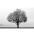 thumbnail image 3 of Deiter, Lori 14x11 Black Modern Framed Museum Art Print Titled - Flying Solo, 3 of 5