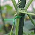 thumbnail image 2 of Lazos de jardín para plantas de 100 m, organizador de plantas de plástico, alambre de amarre de injerto para jardinería, bridas de metal multiusos (verde) JAMW Sencillez, 2 of 5