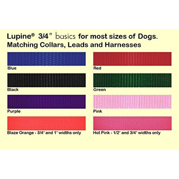LupinePet Basics Collier de Confinement 3/4 Pouces Vert 16-24 Pouces pour Chiens Moyens et Grands
